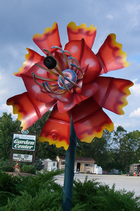 Giant Curlique Hybrid Flower